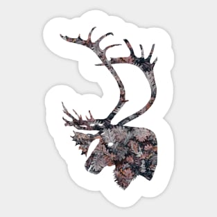 Caribou - brown leaves Sticker